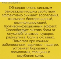Мазь &laquo;Монастырская Живица с Мухомором&raquo;. Ранозаживляющая.  Стекло. 28 мл.