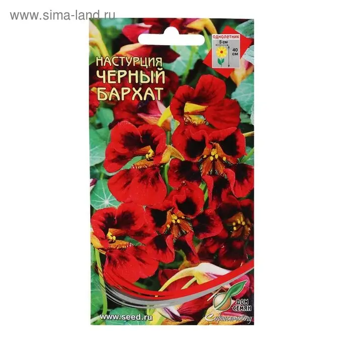 Семена цветов  Настурция "Черный Бархат", 9 шт