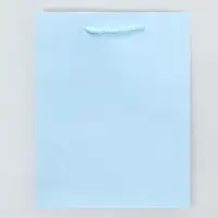 Пакет подарочный ламинированный, упаковка, &laquo;Голубой&raquo;, MS 18 х 23 х 8 см