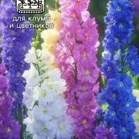 Семена цветов Дельфиниум "Океан страстей", ц/п,  смесь, 0,05 г