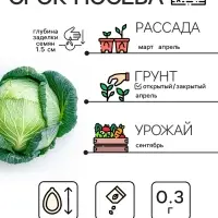 Семена Капуста белокочанная &laquo;Зимовка 1474&raquo;, 0.1 г