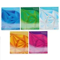 Тетрадь 48 листов в линейку Calligrata &laquo;Графика-2&raquo;, обложка мелованный картон, блок №2, белизна 75% (серые листы), МИКС