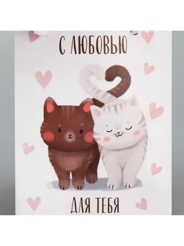 Пакет подарочный ламинированный, упаковка, &laquo;Котики&raquo;, 7&times;10&times;7 см