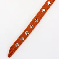 Ошейник кожаный однослойный украшенный, 1,2 см, ОШ 20-26 см микс цветов