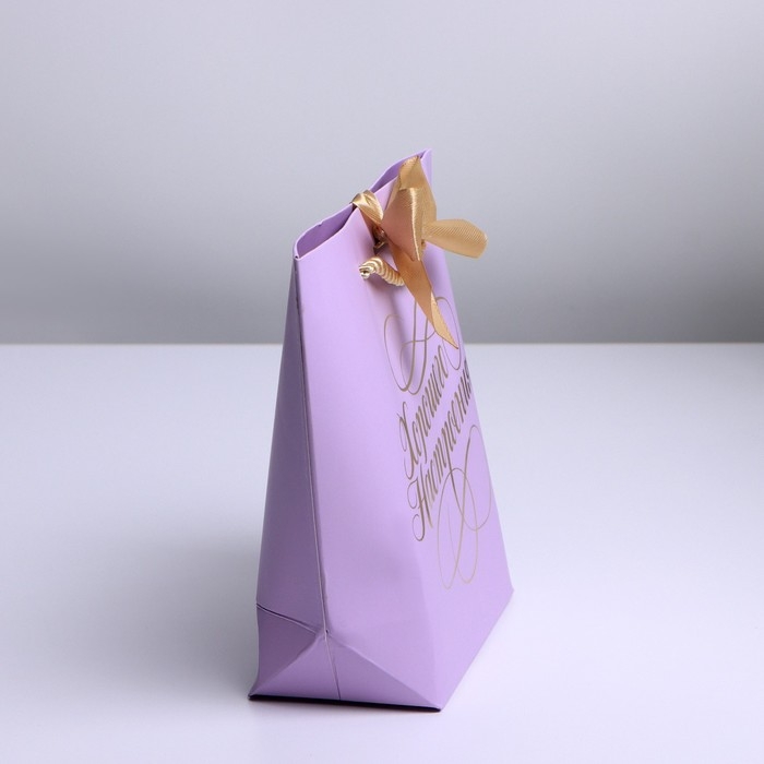 Пакет подарочный, упаковка, &laquo;Настроение&raquo;, 14 х 17 х 7 см