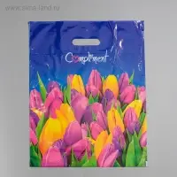 Пакет "Комплимент", полиэтиленовый с вырубной ручкой, 60 мкм 38х47 см