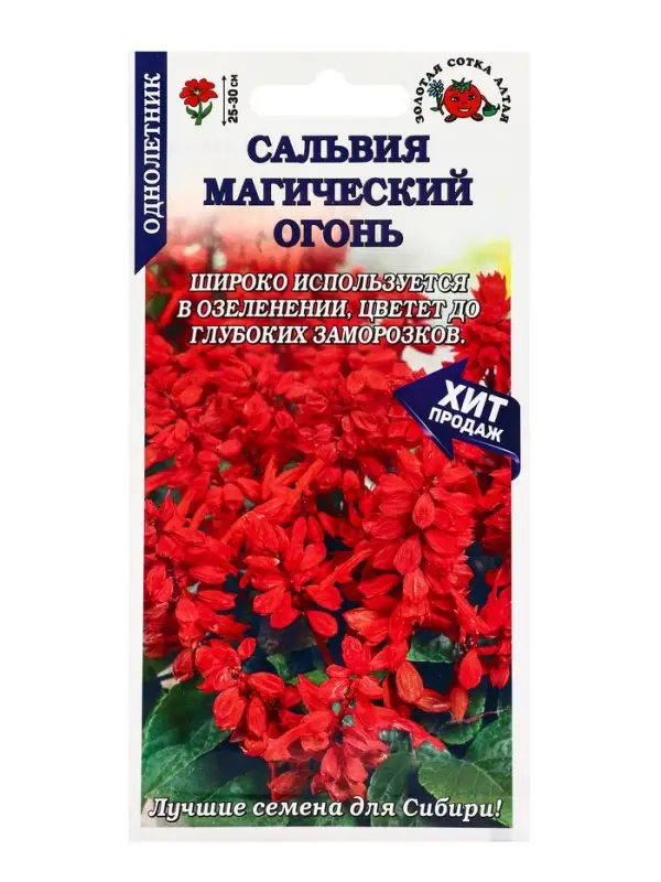 Семена Сальвия Магический огонь /Сотка/ 0,1г/ h-20см/*1300