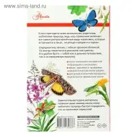 Лучший определитель. Насекомые России