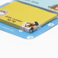 Стикеры с липким слоем &laquo;Котейки&raquo;, 3 шт, 30 л