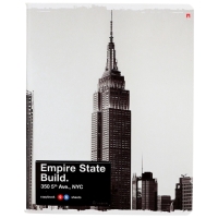 Тетрадь 96л кл NY-NY, МИКС