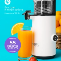 Соковыжималка электрическая шнековая SC-JE50S59