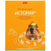 Комплект предметных тетрадей 48 листов, 12 предметов Hatber &laquo;Мой любимый предмет&raquo;, обложка мелованный картон, ламинация Soft-touch, с интерактивным сп...