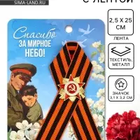 Значок с георгиевской лентой на 9 Мая &laquo;Спасибо за мирное небо!&raquo;, 10.5&times;14 см