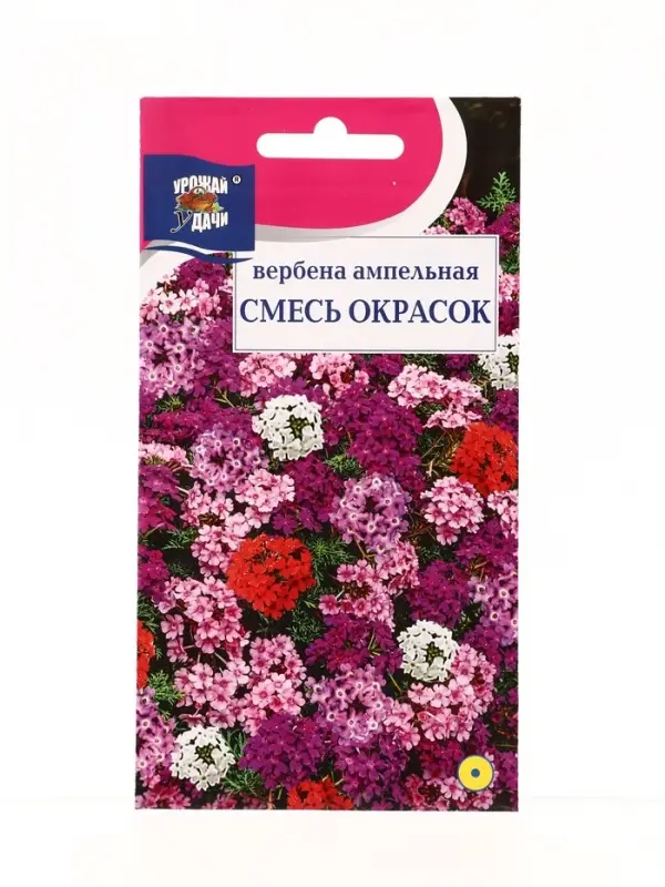 Семена цветов Вербена амп.Смесь окрасок 0,1 г.