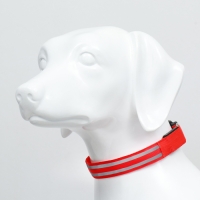 Ошейник с подсветкой Двойная полоса размер L, ОШ 45-52 х 2,5 см, 3 режима свечения красный