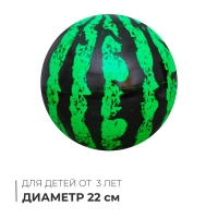 Мяч детский &laquo;Арбуз&raquo;, d=22 см