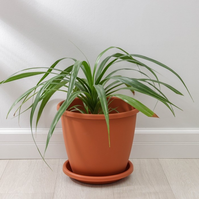 Горшок для цветов с поддоном &laquo;Афина&raquo;, 11 л, пластиковый, цвет коричневый