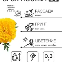 Семена цветов Бархатцы прямостоячие "Лимонное чудо", 0,3 г