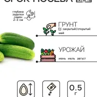 Семена Огурец "Нежинский", 0,5 г
