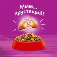 Сухой корм Whiskas для кошек, подушечки, паштет с говядиной,1,3 кг