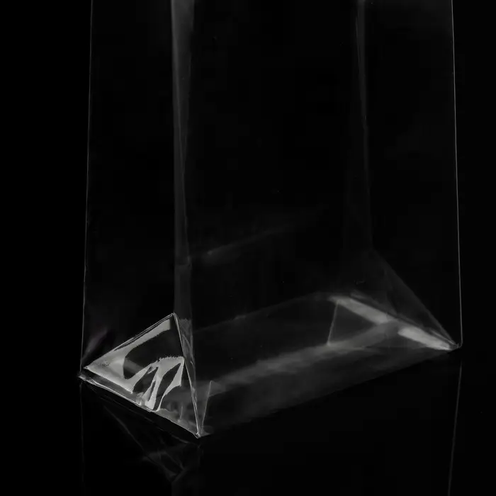 Пакет полипропиленовый фасовочный, прямоугольное дно, прозрачный, 9&times;5&times;19 см