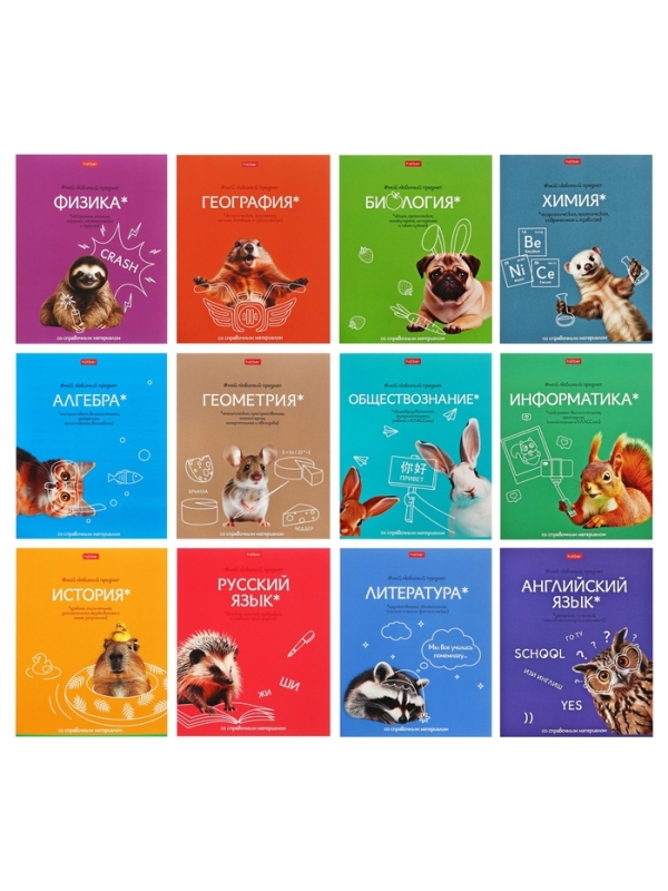 Комплект предметных тетрадей 48 листов, 12 предметов Hatber &laquo;Мой любимый предмет&raquo;, обложка мелованный картон, ламинация Soft-touch, с интерактивным сп...