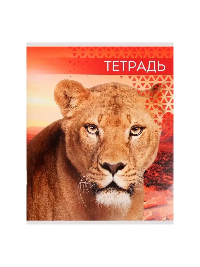 Тетрадь 48 листов в линейку Calligrata &laquo;Дикие кошки&raquo;, обложка мелованная бумага, блок №2, МИКС