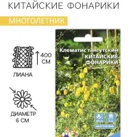 Семена цветов Клематис "Китайские Фонарики", 12 шт.