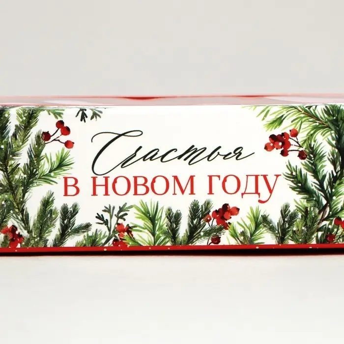 Коробка под 3 конфеты с ячейками &laquo;Счастье&raquo;, 13.3 х 3.3 х 5.8 см