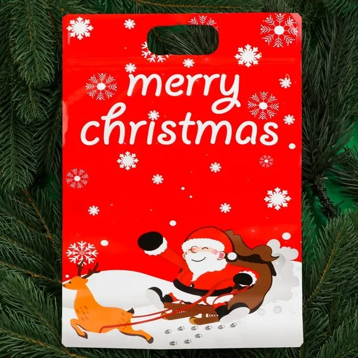 Пакет подарочный, "С новым годом!", с zip-lock застежкой, 20х30+4,5 см.