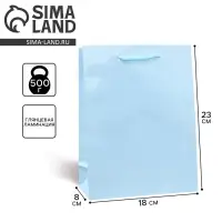 Пакет подарочный ламинированный, упаковка, &laquo;Голубой&raquo;, MS 18 х 23 х 8 см