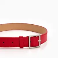 Ремень жен 05-01-02-01, Июнь2508, 3*0,3*110 см, без винта, пряж мат металл, 1 прокол, красн   109031