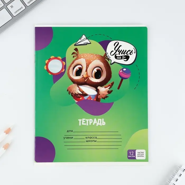 Тетрадь 12 листов в частую косую линейку, А5, на скрепке, блок №1 &laquo;Учись на 5+&raquo; МИКС