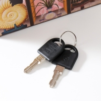 Сейф-книга дерево кожзам "Предметы интерьера" 21х13х5 см