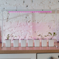 Фитосветильник светодиодный Uniel, 18 Вт, 560 мм, IP40, 230 В, спектр для рассады, с выкл.