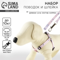 Комплект &laquo;Ласточки&raquo;, шлейка 24-36 см, поводок 120х1 см