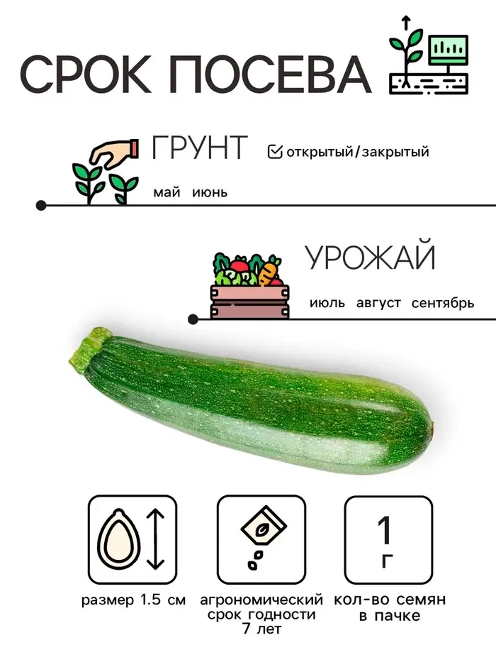 Семена Кабачок "Скворушка", 1 г