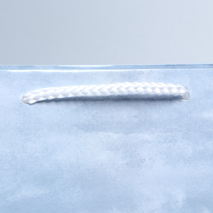 Пакет подарочный ламинированный, упаковка, Present for you, ML 21 х 25 х 8 см