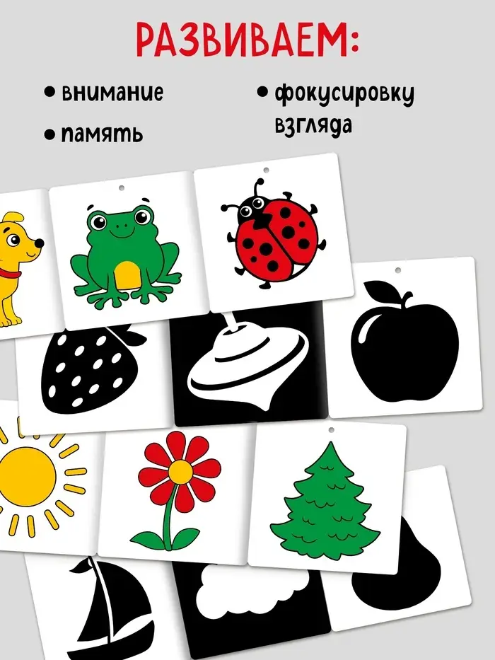 Набор картонных книжек-гармошек "Смотрим вместе", 6 шт.