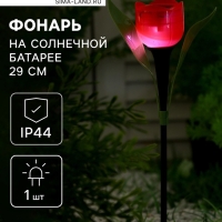 Садовый светильник на солнечной батарее &laquo;Тюльпан красный&raquo;, 5&times;29&times;5 см, 1 LED, свечение белое