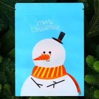 Пакет подарочный, с zip-lock застежкой, "Снеговик с шарфом", 16 х 21,5 &plusmn; 1см.