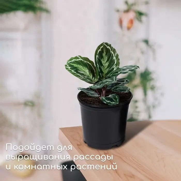 Горшок для рассады, 1 л, d = 13 см, h = 10,5 см, чёрный, Greengo