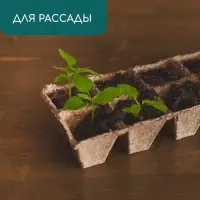 Кассета для рассады, 30 &times; 15 &times; 8 см, 8 ячеек по 150 мл, торф, 6 &times; 6 см