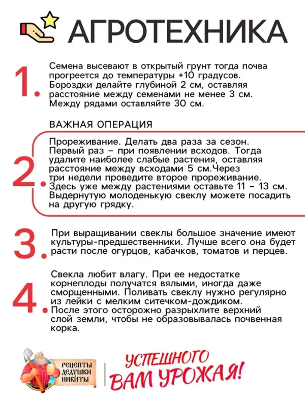 Семена Свекла &laquo;Египетская плоская&raquo;, 2 г