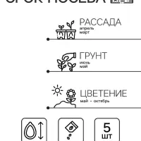 Семена Виола "Фриззл Сиззл", бургунди, F1, 5 шт