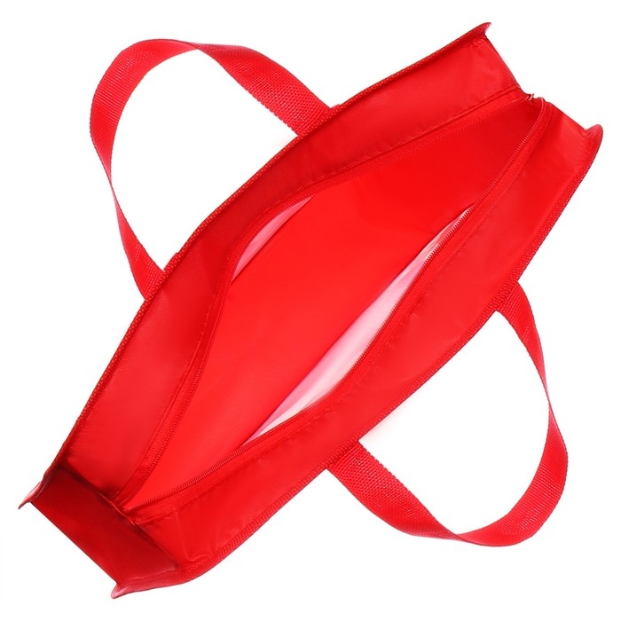 Папка с ручками пластиковая А4 Calligrata "Машина красная", 32,2х25,6х7 см,