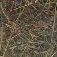 Сено луговое с фруктами &laquo;Пижон&raquo; для грызунов, 20 л, 500 г