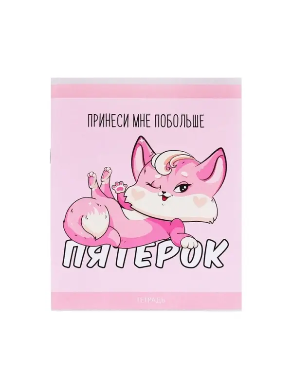 Тетрадь 48 листов в клетку Calligrata &laquo;Лисички&raquo;, обложка мелованная бумага, серые листы, МИКС