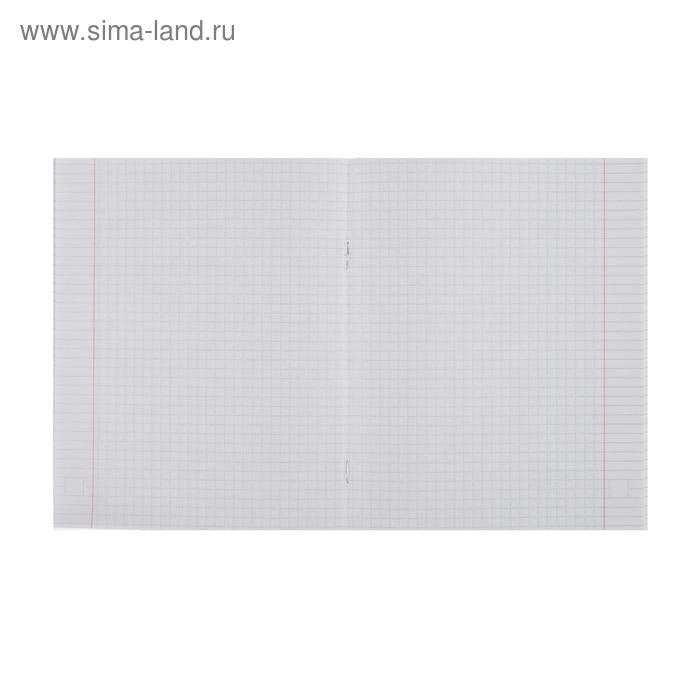 Тетрадь 48 листов в клетку Calligrata "Кигуруми", обложка мелованный картон, УФ-лак, блок офсет, МИКС