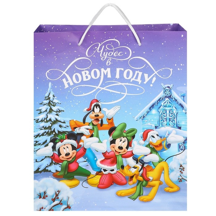 Пакет подарочный "С Новым годом!", 23х27х11.5 см, упаковка, Микки Маус
